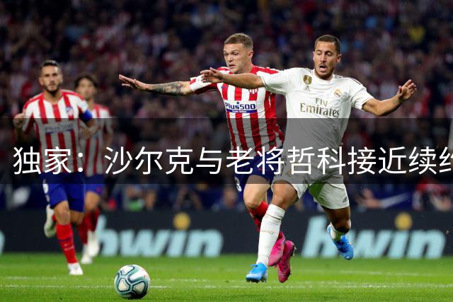 独家：沙尔克与老将哲科接近续约 关键因素曝光