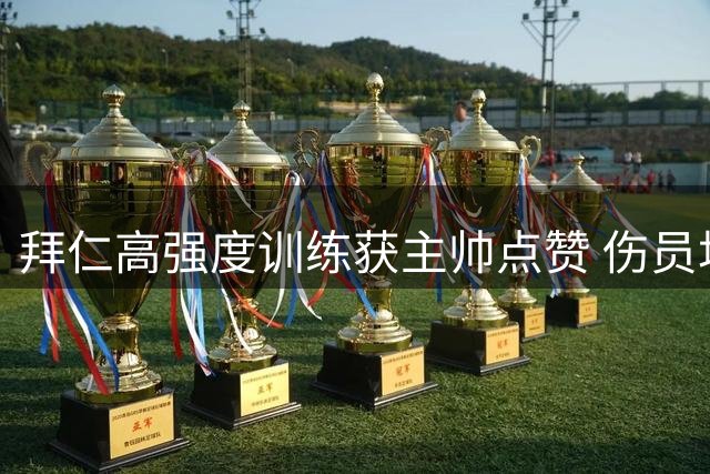 拜仁高强度训练获主帅点赞 伤员场边进行恢复训练